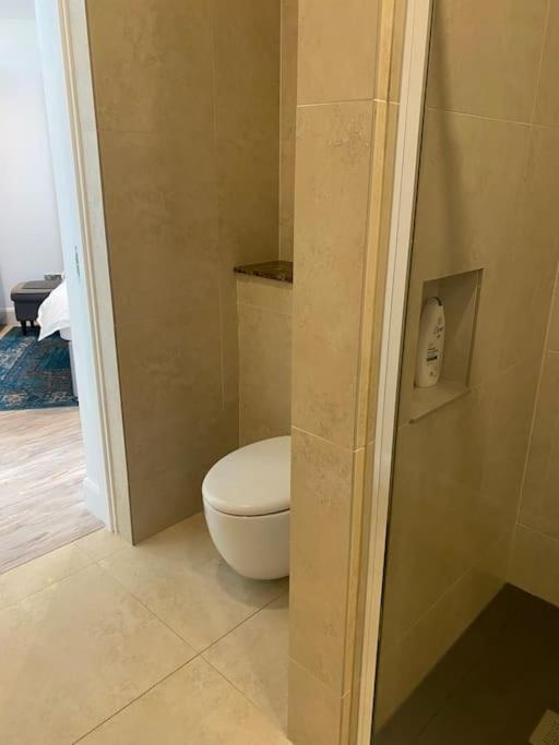 Beautiful Garden Apartment With Private Patio And Garden View Dublin Extérieur photo
