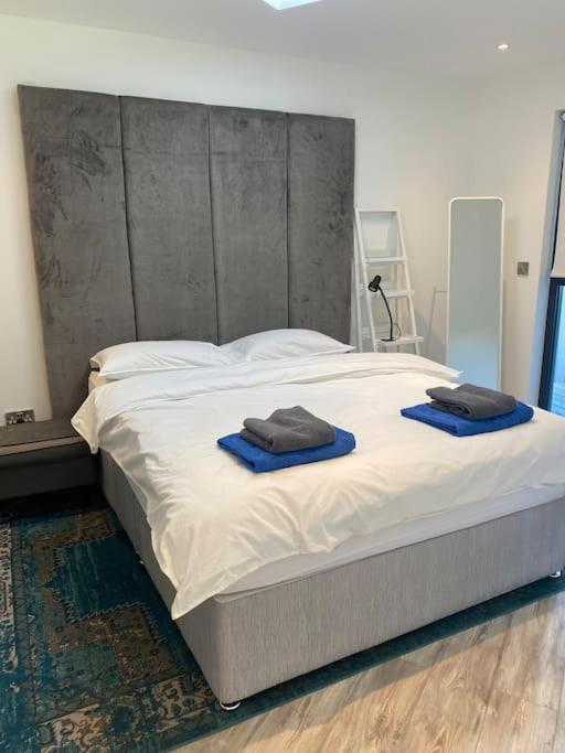 Beautiful Garden Apartment With Private Patio And Garden View Dublin Extérieur photo