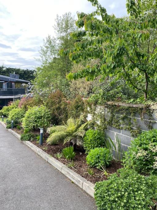 Beautiful Garden Apartment With Private Patio And Garden View Dublin Extérieur photo