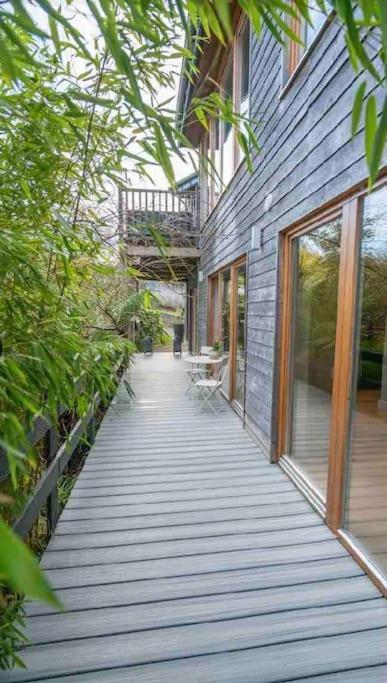 Beautiful Garden Apartment With Private Patio And Garden View Dublin Extérieur photo